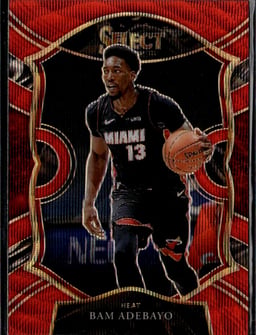 2020 Bam Adebayo #8 Select