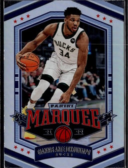 2021 Giannis Antetokounmpo #362 Chronicles