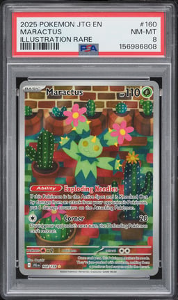 2025 Pokemon Scarlet & Violet Journey Together IR Maractus #160 PSA 8 NM-MT