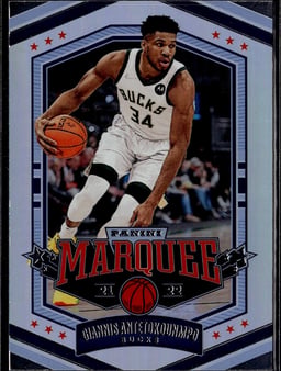 2021 Giannis Antetokounmpo #362 Chronicles