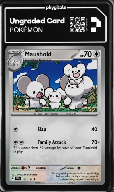 2023 Maushold Scarlet & Violet #