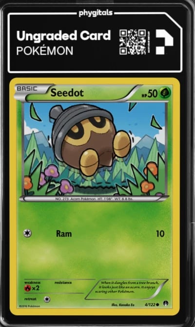 2016 Seedot BREAKpoint #4