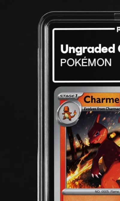 2023 Charmeleon 151 #5
