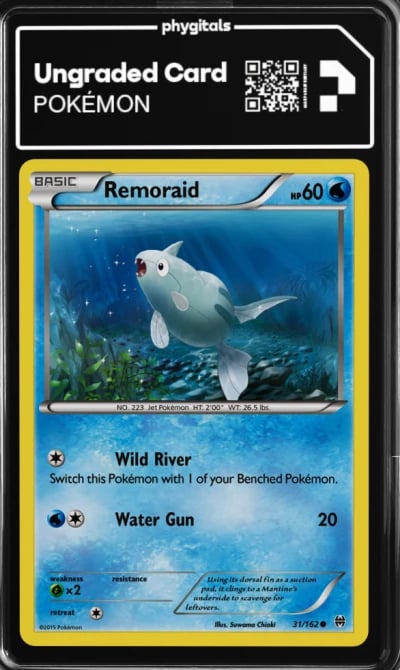 2015 Remoraid BREAKthrough #31