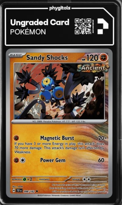 2024 Sandy Shocks Temporal Force