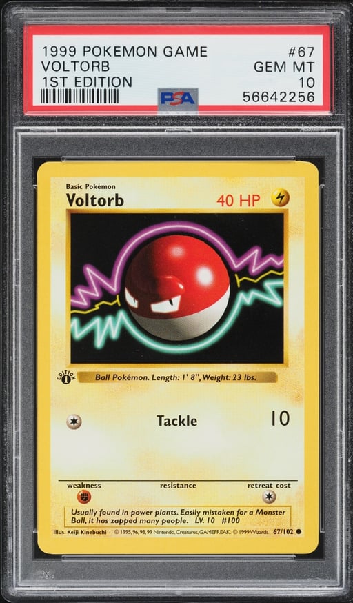 1999 Pokemon Base Set Shadowless 1st Edition Voltorb #67 PSA 10 GEM MINT