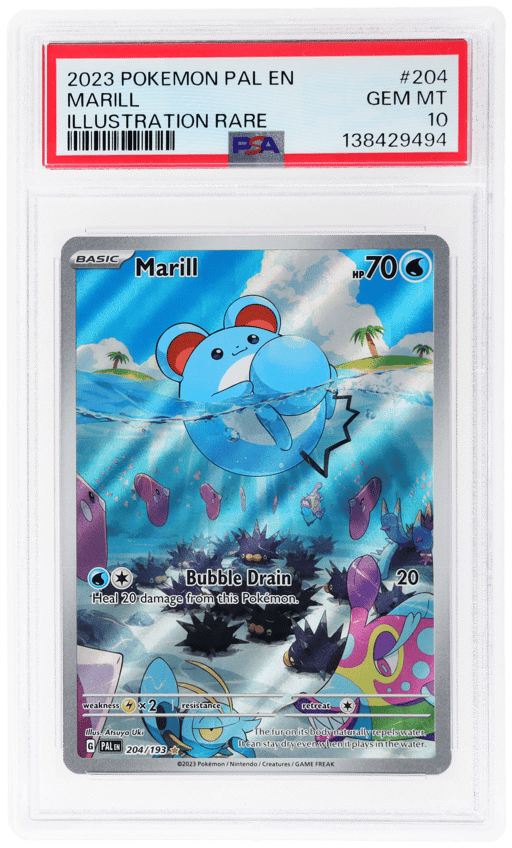 2023 Pokemon Scarlet and Violet Paldea Evolved Illustration Rare Marill #204 PSA 10