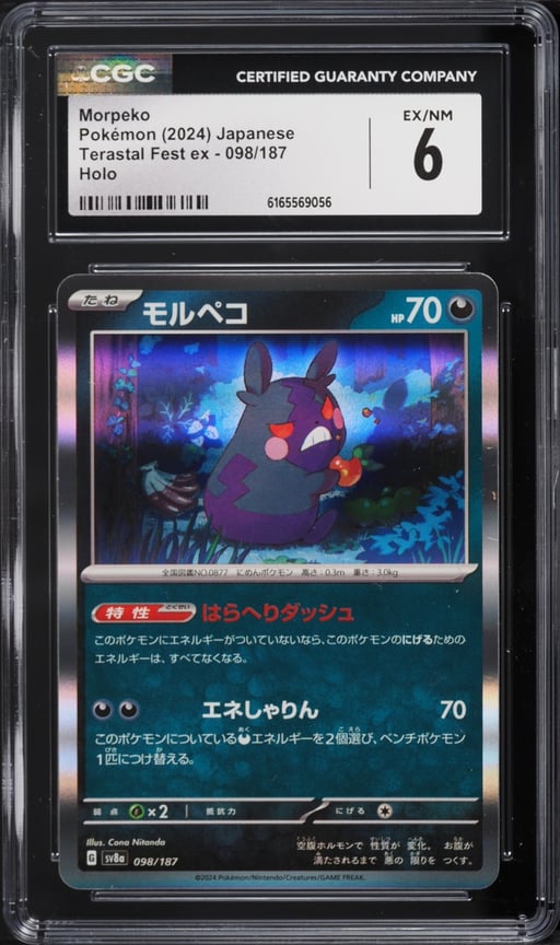 2024 Pokemon Japanese Scarlet & Violet Terastal Fest Ex Holo Morpeko #98 CGC 6 EXMT