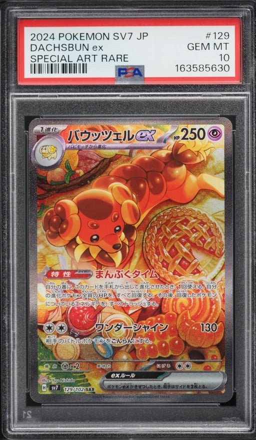 2024 Pokemon Japanese Scarlet & Violet Stellar Miracle SAR Dachsbun ex #129 PSA 10 GEM MINT