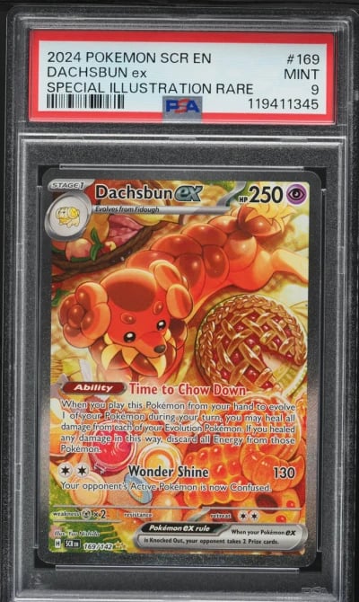 2024 Pokemon Scarlet & Violet Stellar Crown SIR Dachsbun ex #169 PSA 9 MINT