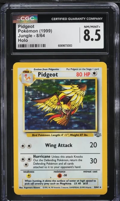 1999 Pokemon Jungle Holo Pidgeot