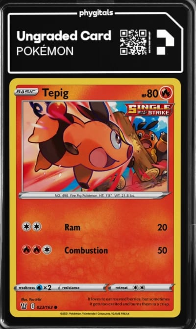 2021 Tepig Battle Styles #23