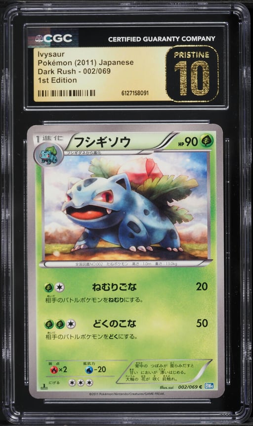 2011 Pokemon Japanese Black & Wh