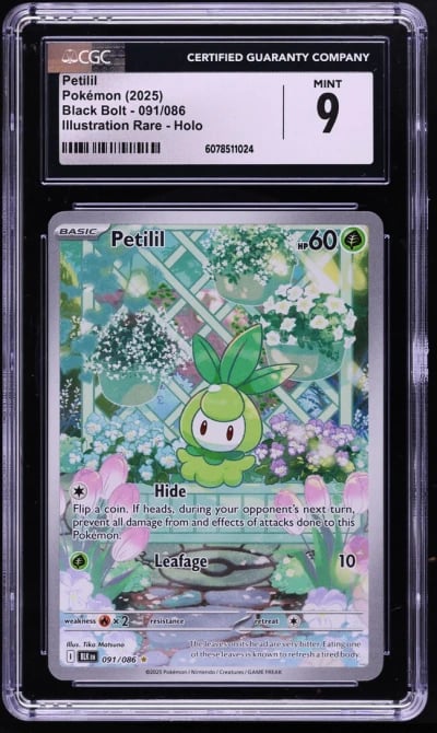 2025 Pokemon Scarlet & Violet Bl