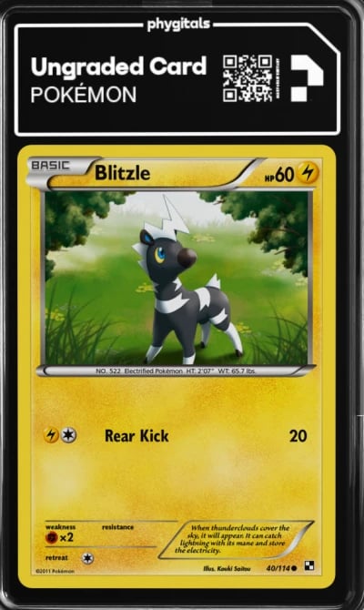 2011 Blitzle Black & White #40