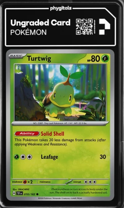 2024 Turtwig Temporal Forces #01