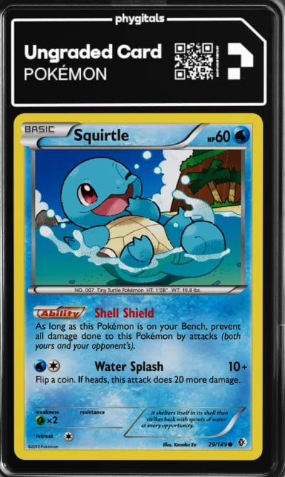 2012 Squirtle Boundaries Crossed