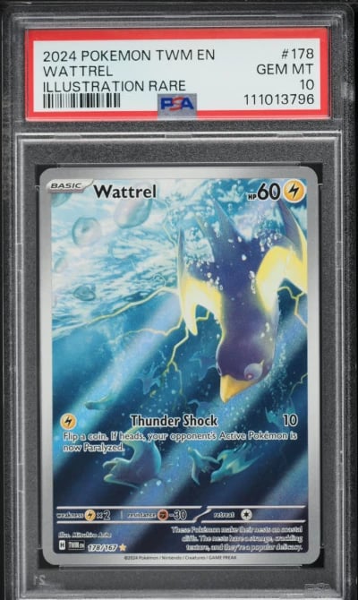 2024 Pokemon Scarlet & Violet Tw
