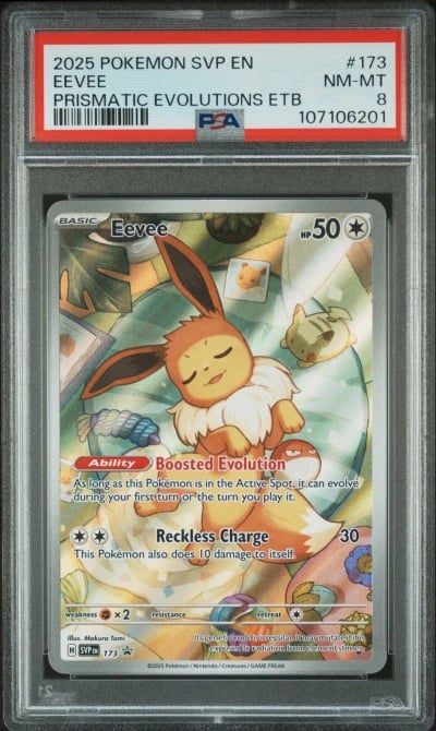 2025 POKEMON SVP EN-SV BLACK STAR PROMO #173 EEVEE PSA 8