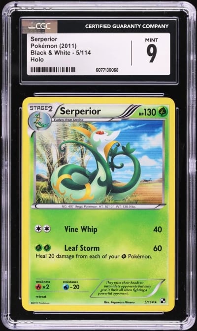 2011 Pokemon Black & White Holo 