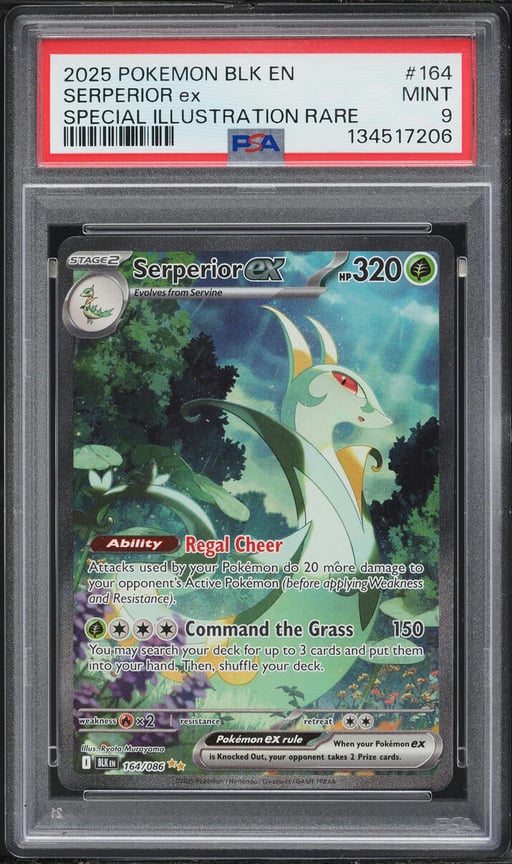 2025 Pokemon Scarlet & Violet Black Bolt SIR Serperior ex #164 PSA 9 MINT