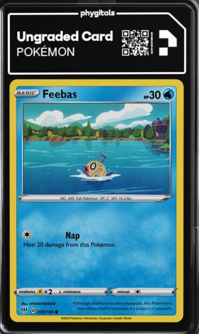 2020 Feebas Darkness Ablaze #038