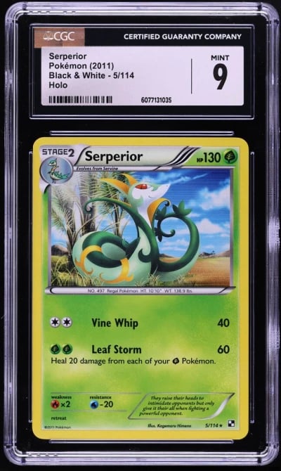 2011 Pokemon Black & White Holo 