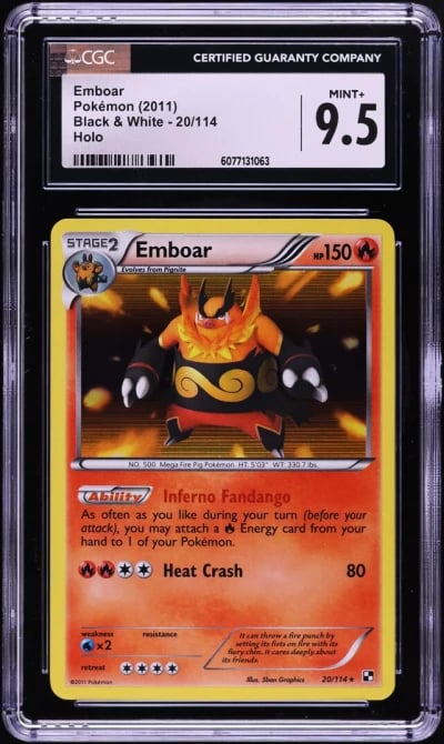 2011 Pokemon Black & White Holo 