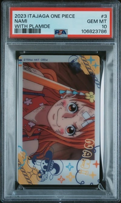 2023 ITAJAGA ONE PIECE WITH PLAM