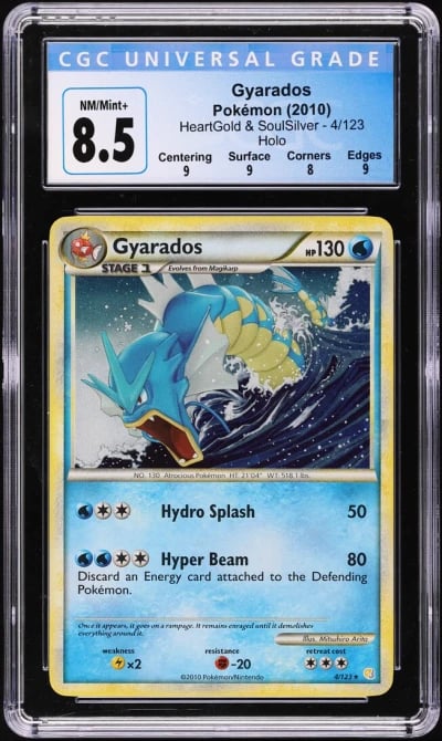 2010 Pokemon HeartGold & SoulSil