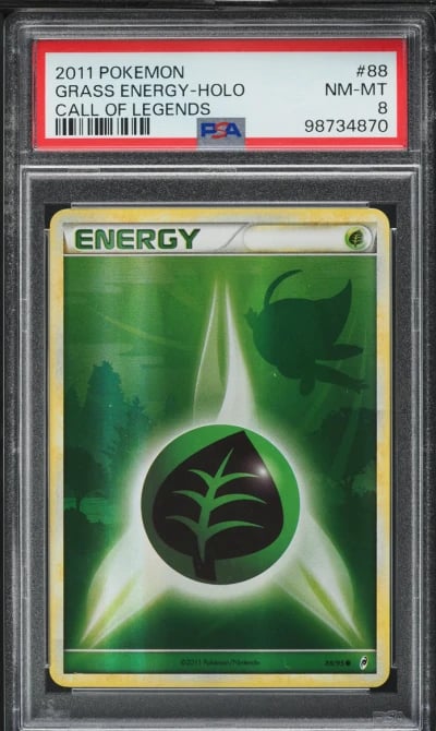 2011 Pokemon Call Of Legends Hol