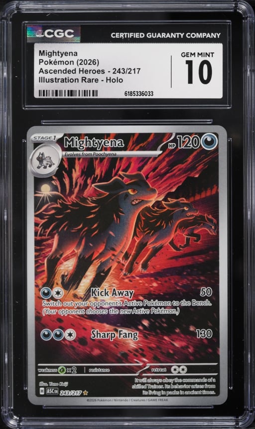 2026 Pokemon Mega Evolution Ascended Heroes IR Mightyena #243 CGC 10 GEM MINT