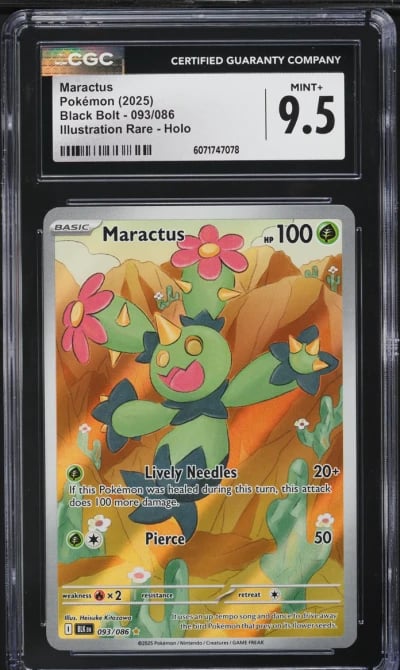 2025 Pokemon Scarlet & Violet Black Bolt IR Maractus #93 CGC 9.5 MINT+