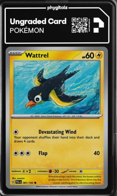 2023 Wattrel Paldea Evolved #081