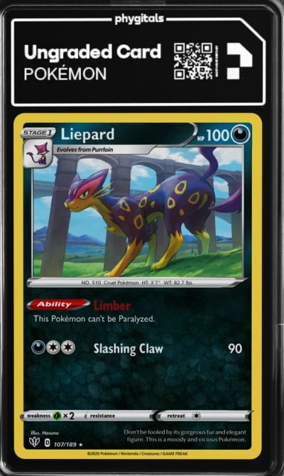 2020 Liepard Darkness Ablaze #10