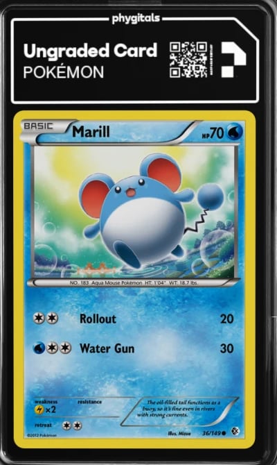 2012 Marill Boundaries Crossed #