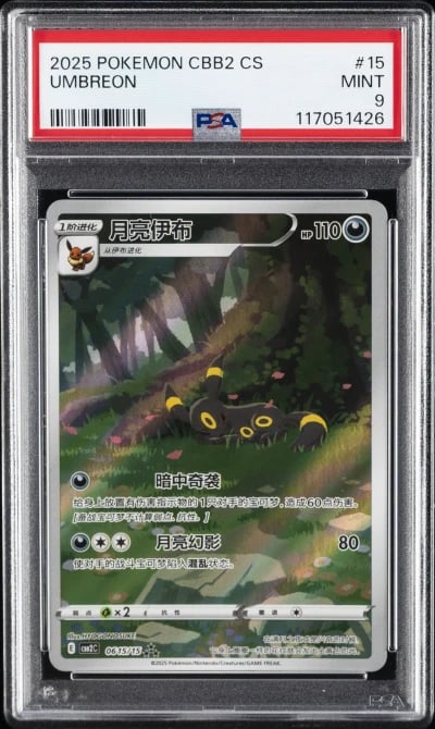 2025 POKEMON SIMPLIFIED CHINESE 