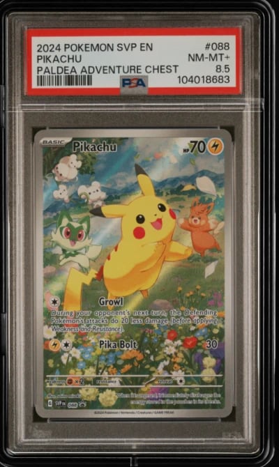 2024 POKEMON SVP EN-SV BLACK STAR PROMO PALDEA ADVENTURE CHEST PIKACHU PSA 8.5