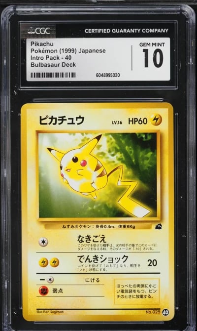 1999 Pokemon Japanese Intro Pack
