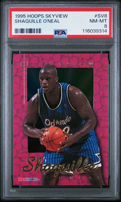 1995 HOOPS SKYVIEW #SV8 SHAQUILL