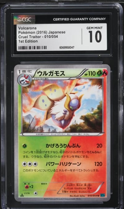 2016 Pokemon Japanese XY Cruel T