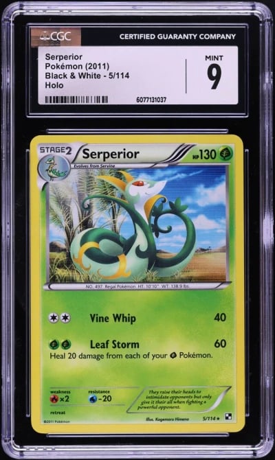 2011 Pokemon Black & White Holo 