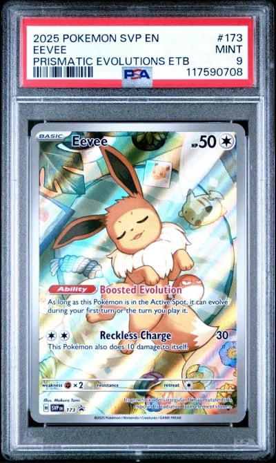 2025 POKEMON SVP EN-SV BLACK STAR PROMO #173 EEVEE PSA 9