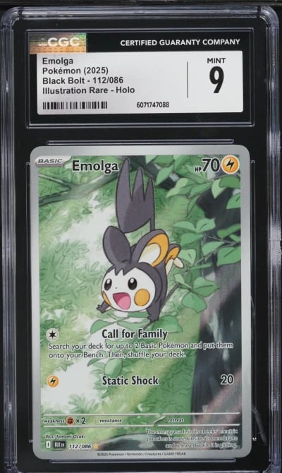 2025 Pokemon Black Bolt Illustra
