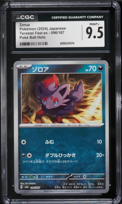 2024 Pokemon Japanese Scarlet & Violet Terastal Fest Ex Poke Ball Holo Zorua #96 CGC 9.5 MINT+