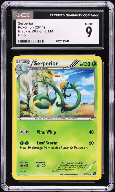 2011 Pokemon Black & White Holo 