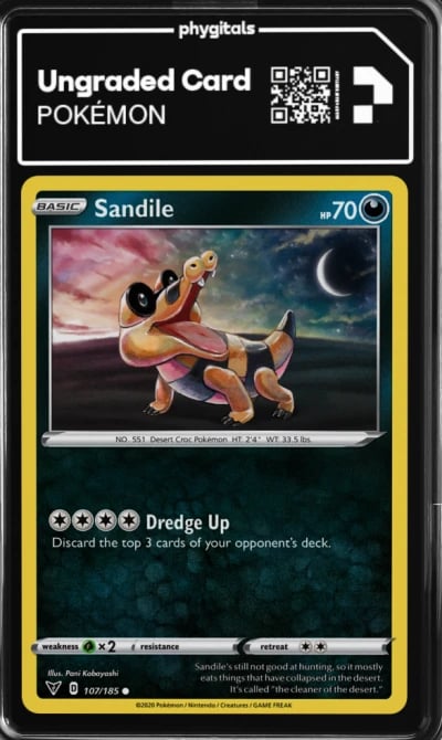 2020 Sandile Vivid Voltage #107