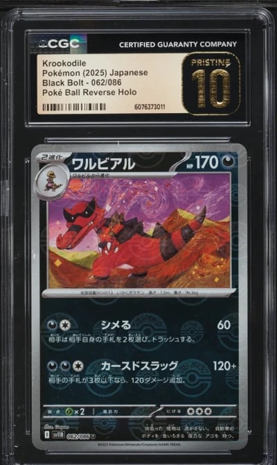 2025 Pokemon Japanese SV Black B