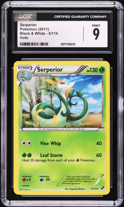 2011 Pokemon Black & White Holo 