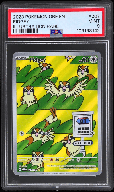 2023 Pokemon Scarlet and Violet Obsidian Flames Illustration Rare Pidgey #207 PSA 9